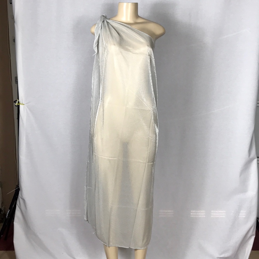 Zuliana Beachwear Silver Mesh Dress